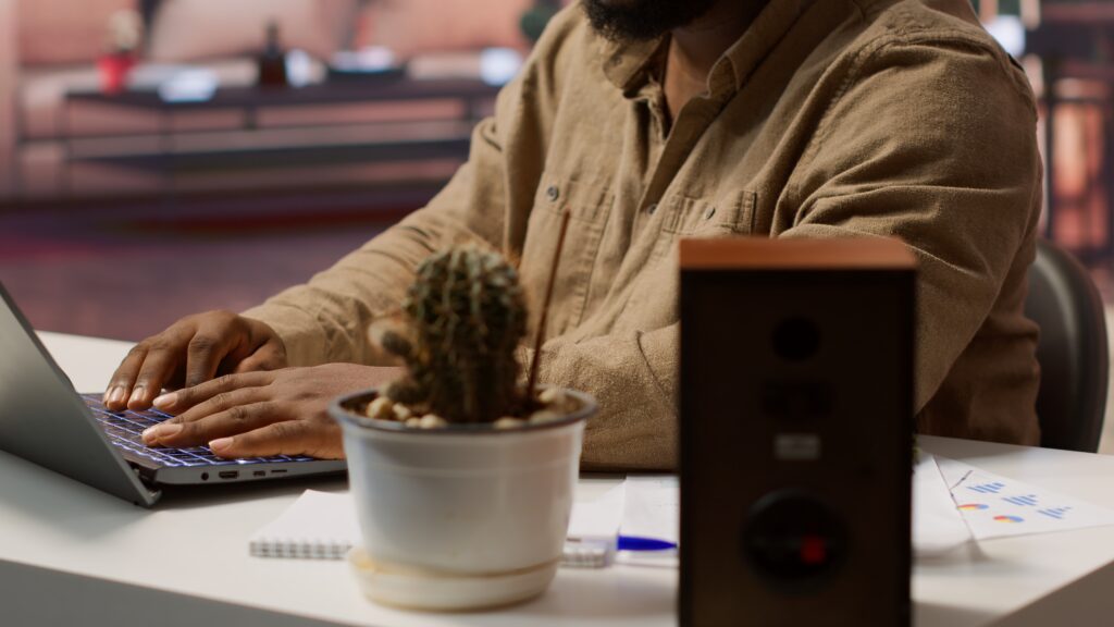 Person typing on laptop with potted cactus